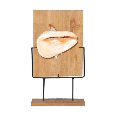 Conchiglia su stand in legno mis. grande
