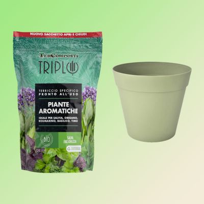 Offerta Vaso + Terriccio Bio per Piante Aromatiche da 1.5 Lt
