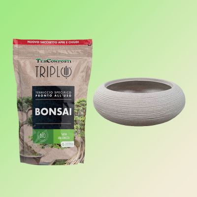 Offerta Vaso + Terriccio Bio per Bonsai da 1.5 Lt