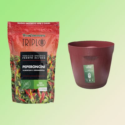 Offerta Vaso + Terriccio Bio per Peperoncino da 1.5 Lt